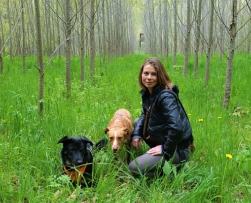 Hundetrainer Ausbildung Steiermark