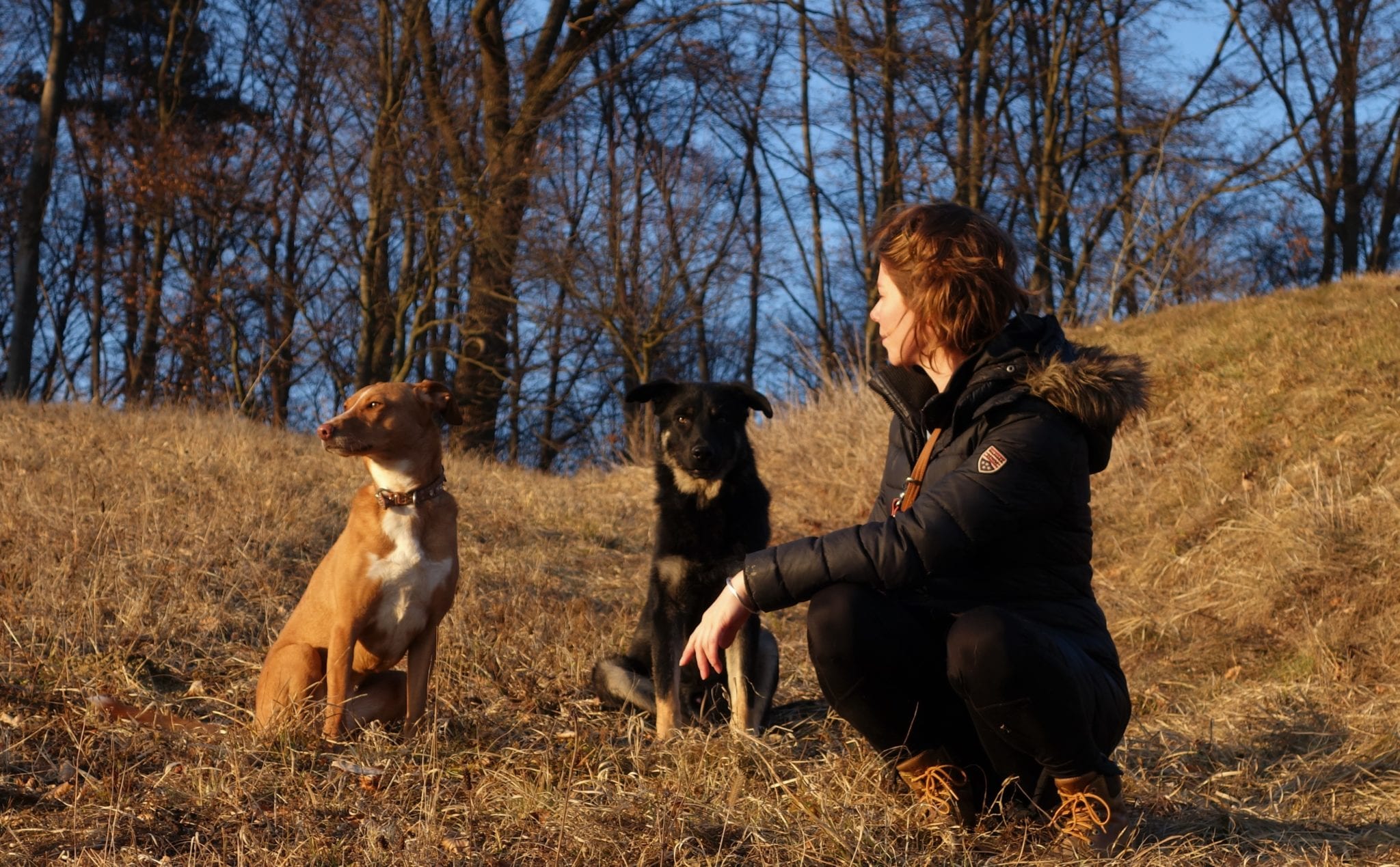 Bianca Oriana Willen con i suoi cani