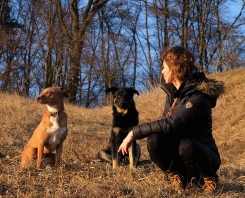 Hundetrainerin Bianca Willen. Hundeschule Graz, Gleisdorf