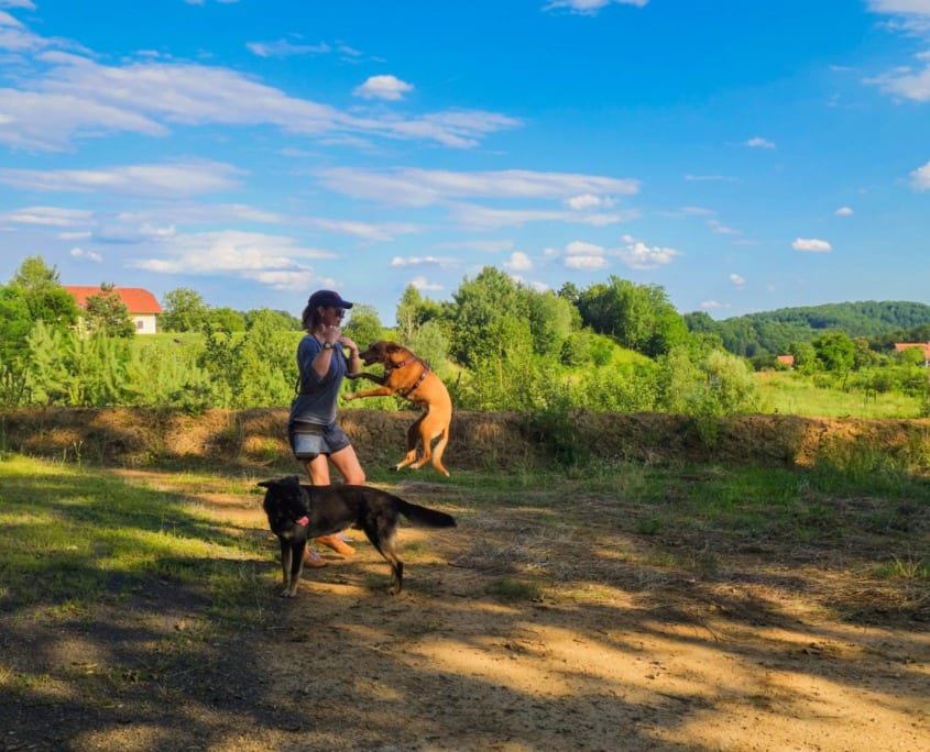 Hundeschule Thermenland