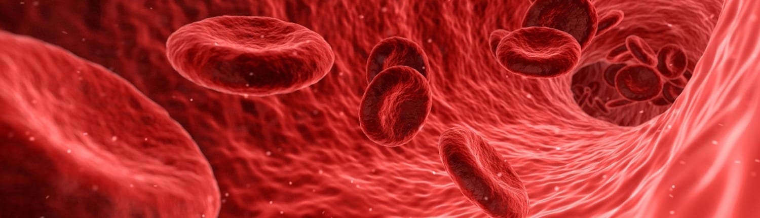 Blutkörperchen