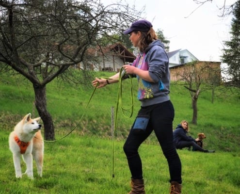 Leinenhandling für Hundehalter