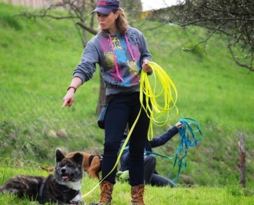 Hundetrainer Ausbildung