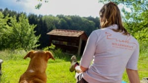 Bianca Willen Hundeschule Willenskraft