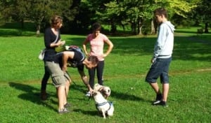 Hundetrainer Graz