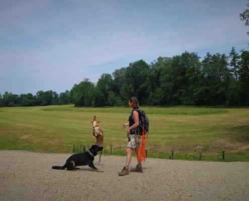 Equipment Mensch Trainerinnen Ausbildung