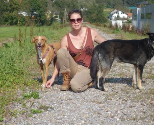 Hundeschule in Österreich