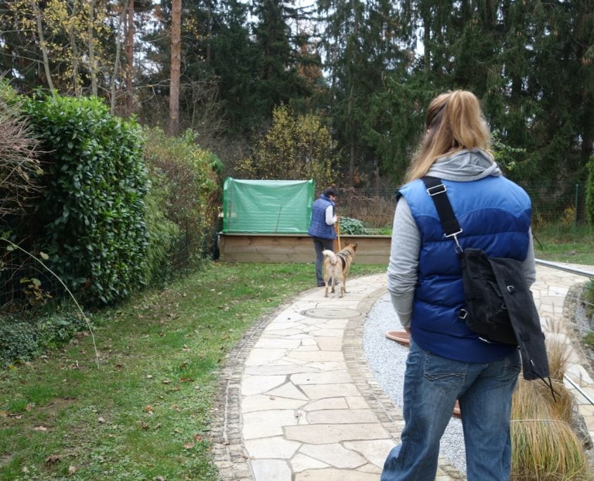 Deine online Hundeschule