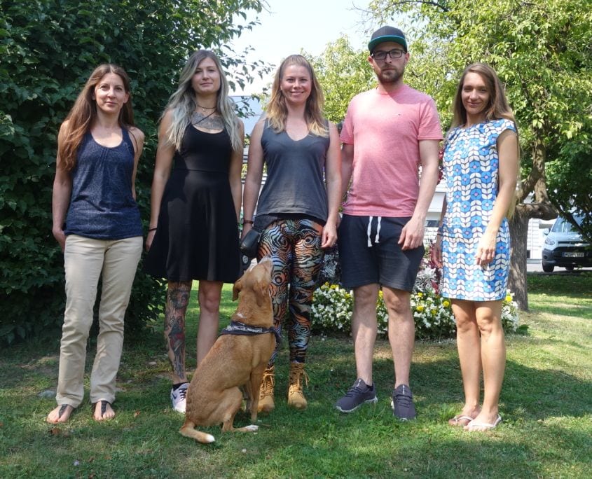 Gruppenkurs der Hundeschule Willenskraft Graz: mehrere Mensch-Hund-Teams beim gemeinsamen Training