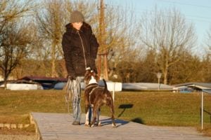 Trainerin Hundeschule Willenskraft Graz