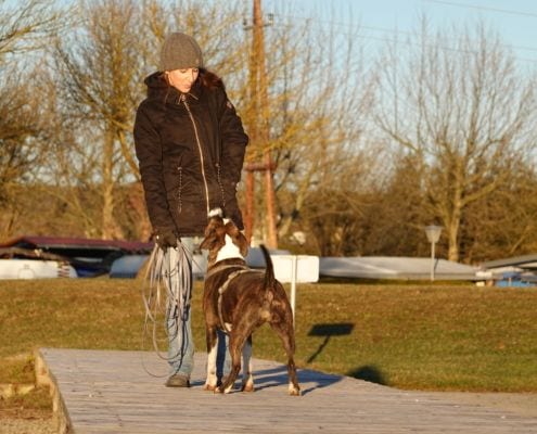 Trainerin Hundeschule Willenskraft Graz