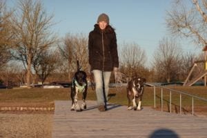 Hundeschule Willenskraft Graz