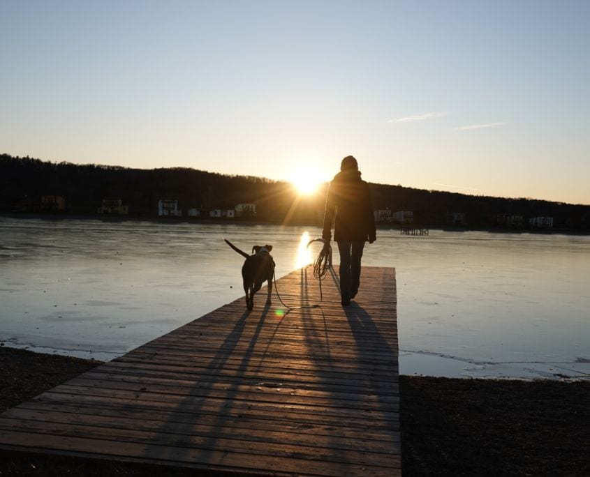 Mensch-Hund-Team am Steg im Abendlicht – Bindung und Vertrauen durch gewaltfreies Training