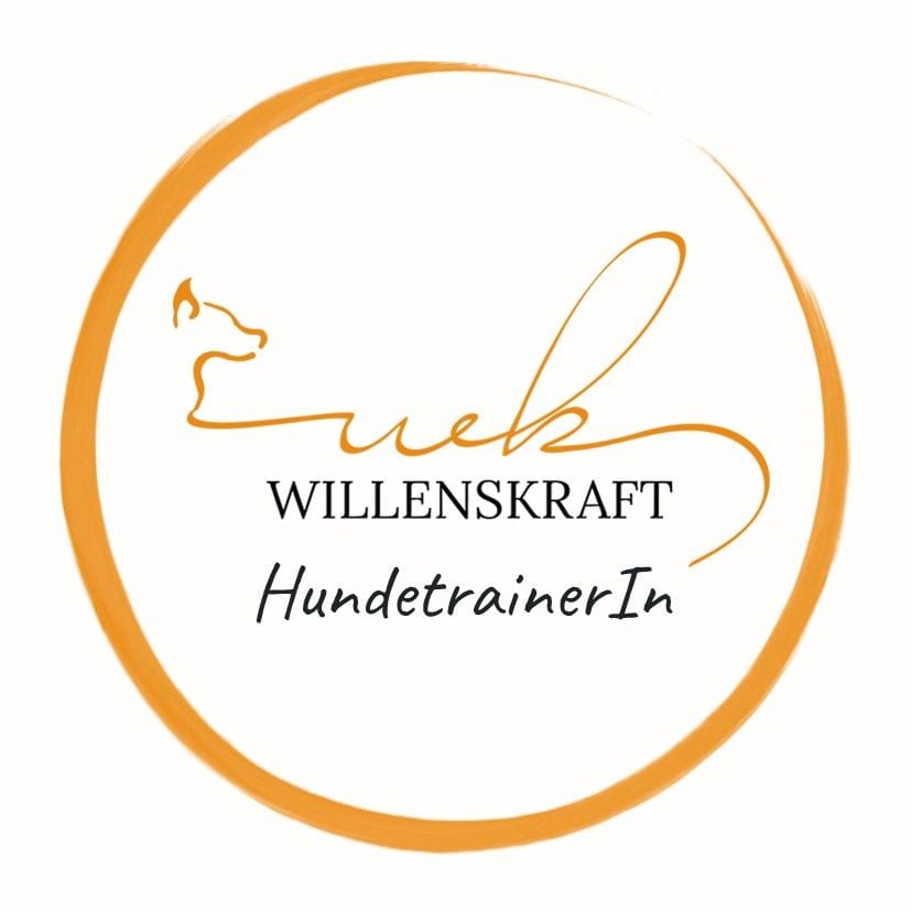 Willenskraft Hundertrainerin