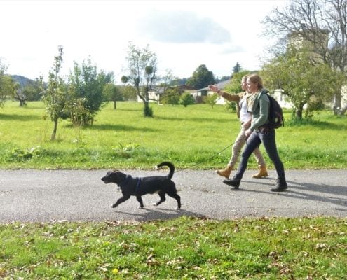 Begegnungstraining mit Junghund in Graz