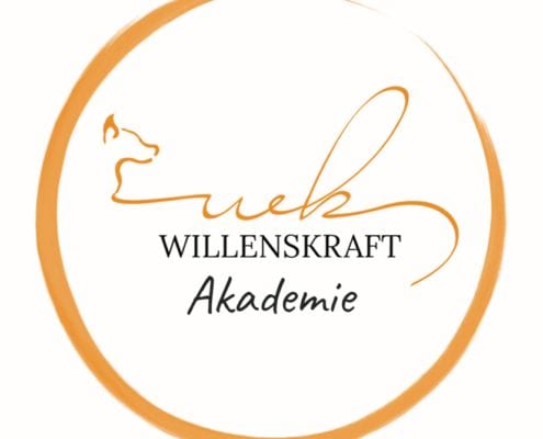 Willenskraft Akademie