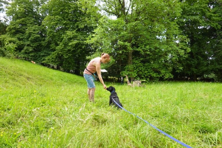 Welpen beim Spielen – Aufbaukurs Ausdrucks- und Spielverhalten Graz