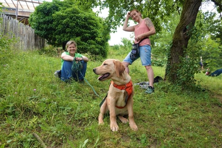 Welpenschule Graz und Umgebung – Labrador-Welpe mit seinem Mensch-Hund-Team