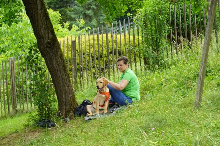 Welpenschule Graz – gemeinsame Pause im Schatten zwischen den Übungen