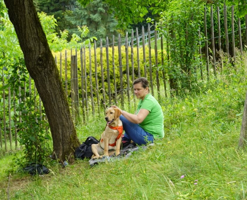 Modernes Training mit Welpen in der Welpenschule in Wien