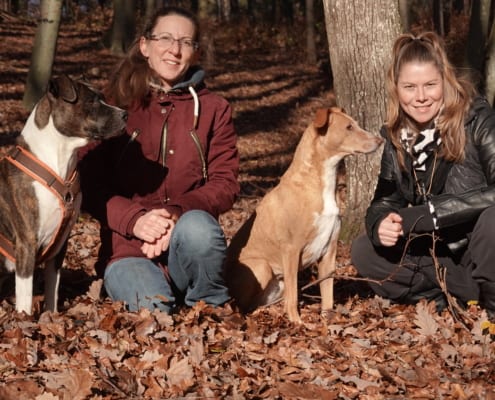 Hundeschule Willenskraft und Akademie