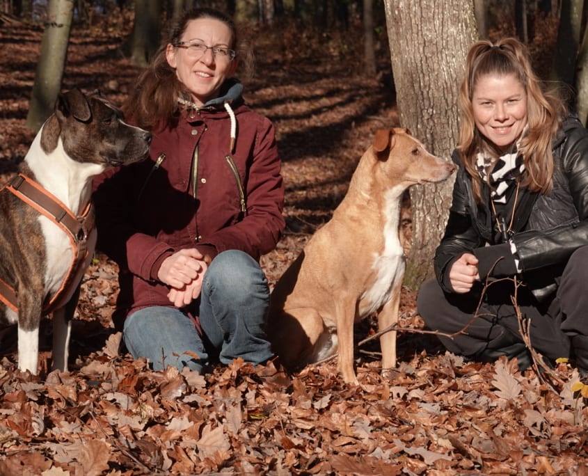 Hundeschule Willenskraft und Akademie