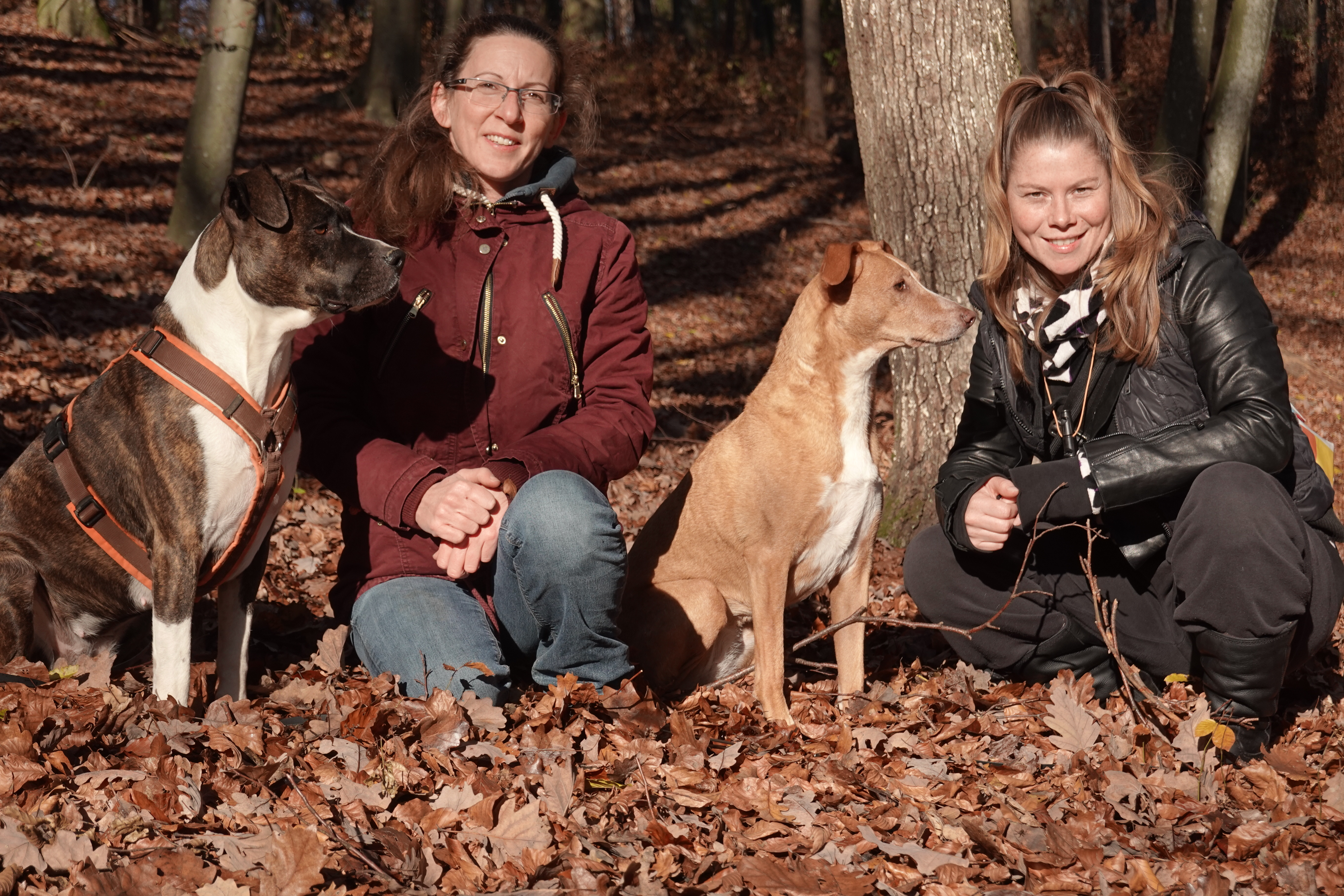 Trainerinnen Martha und Bianca im Team – Hundeschule Willenskraft