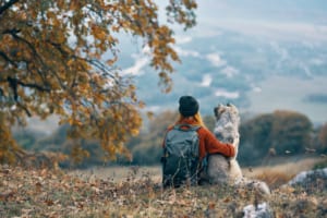 Hundeschule Willenskraft Burgenland