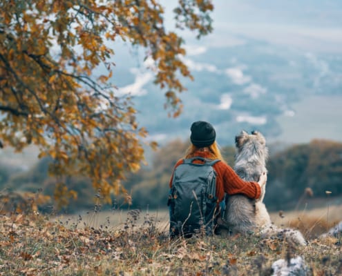 Hundeschule Willenskraft Burgenland