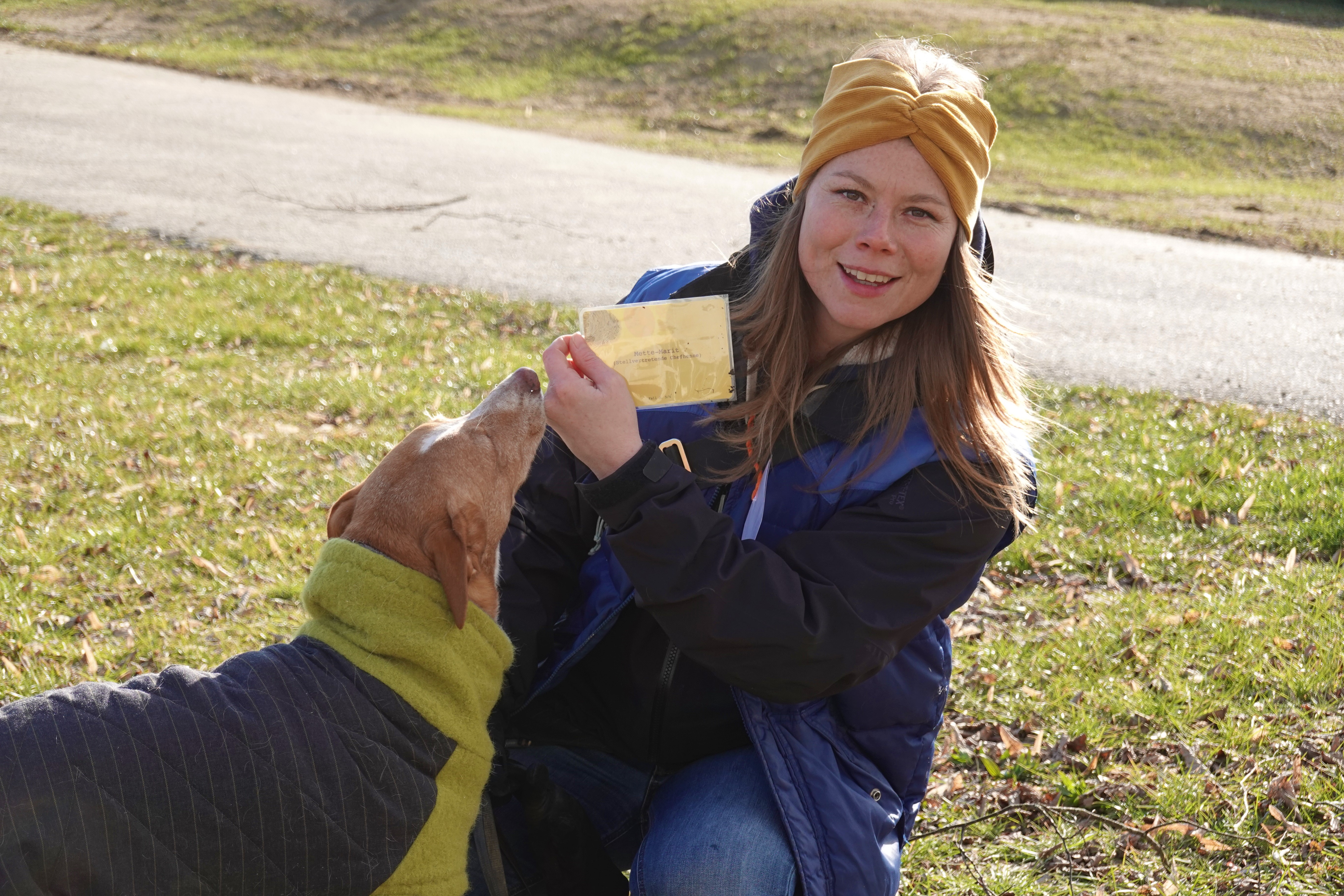Gruppenkurs der Hundeschule Willenskraft – Hundeschule Willenskraft