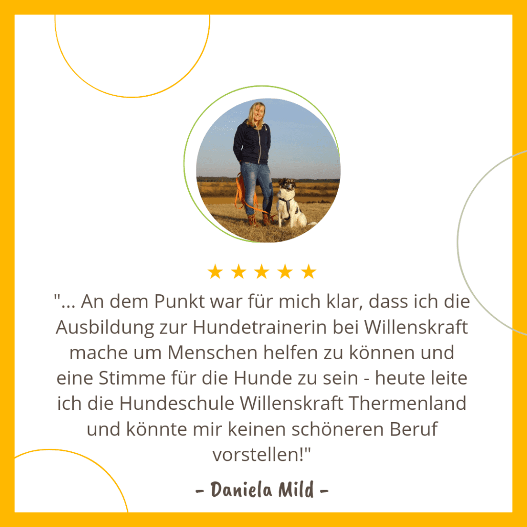 Hundetrainer Ausbildung mit Willenskraft