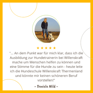 Hundetrainer Ausbildung mit Willenskraft