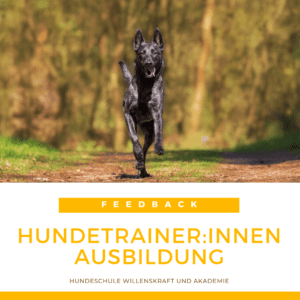 Hundetrainer Ausbildung mit Willenskraft