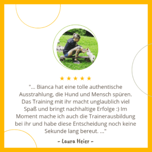 Hundetrainer Ausbildung mit Willenskraft