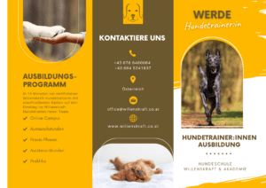 Hundetrainer Ausbildung Willenskraft