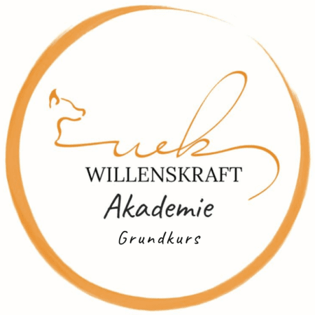 Willenskraft Akademie