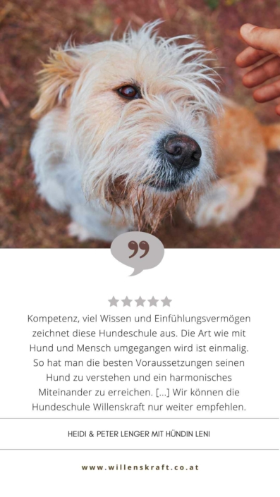 online Hundeschule