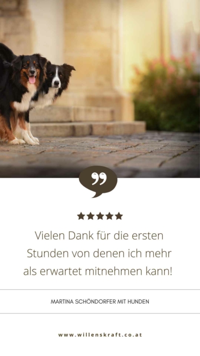 online Hundetraining