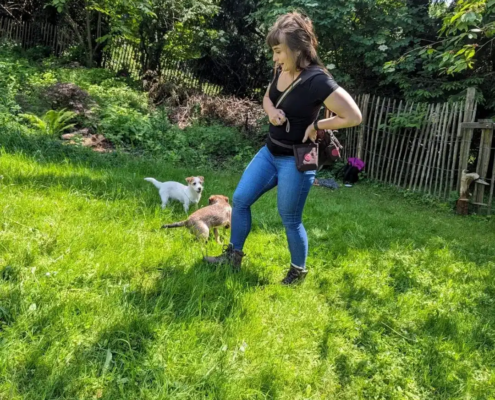 Hundetraining in der Welpenschule Wien.