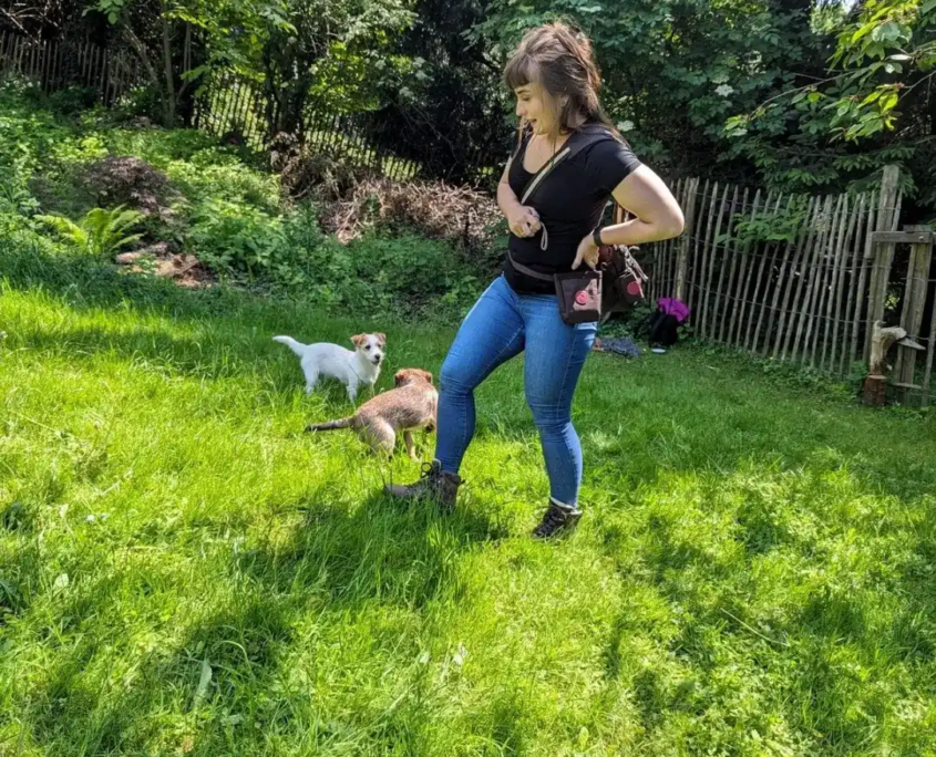Hundetraining in der Welpenschule Wien.