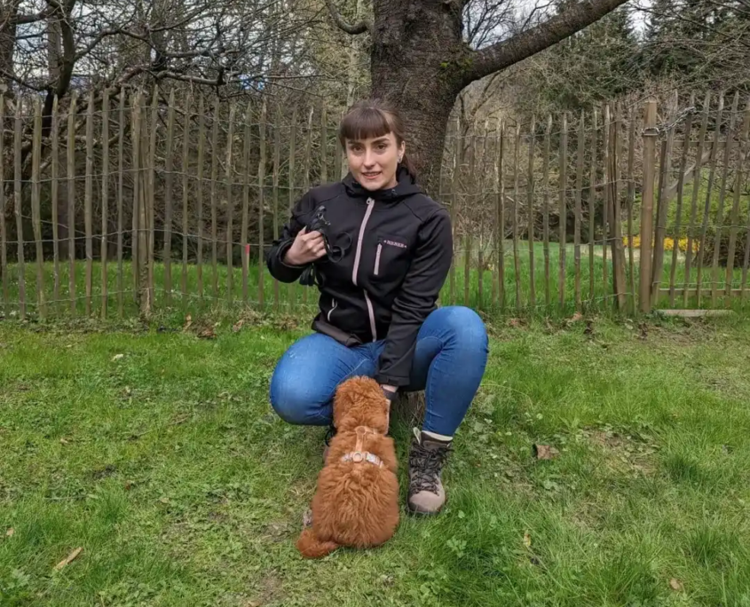 Welpentraining in Wien mit der Hundeschule Willenskraft
