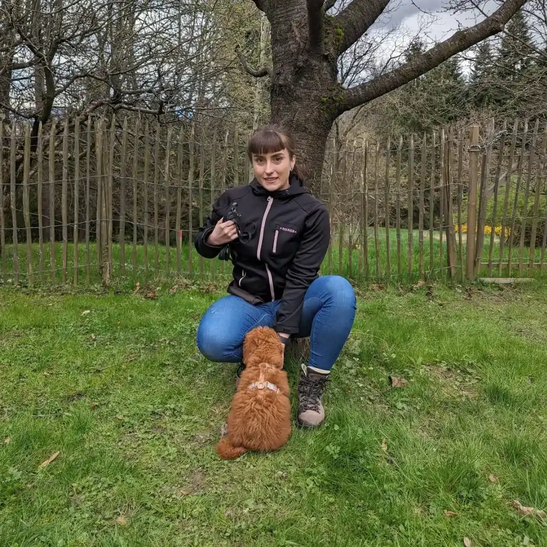 Welpentraining bei Jessy in Bruck/Wien – Hundeschule Willenskraft