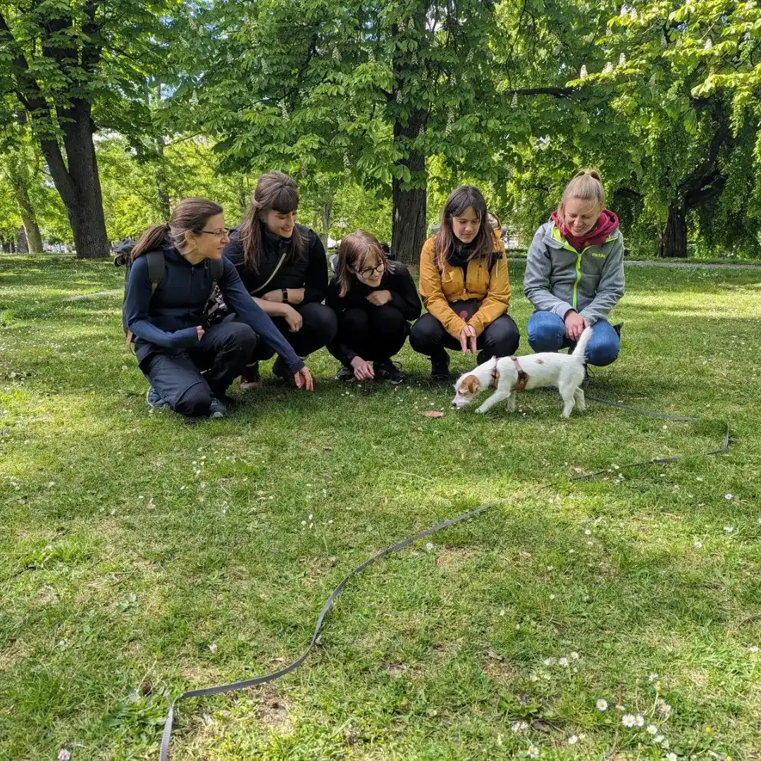 Hundeschule Neusiedlersee Welpen