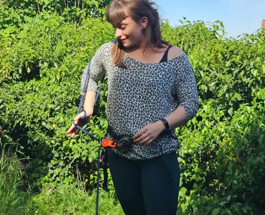 Hunde-Begegnungstraining in Wien und Bruck an der Leitha – Hund lernt entspannte Begegnungen