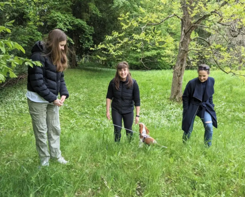 Hundeschule Wien & Bruck Leitha