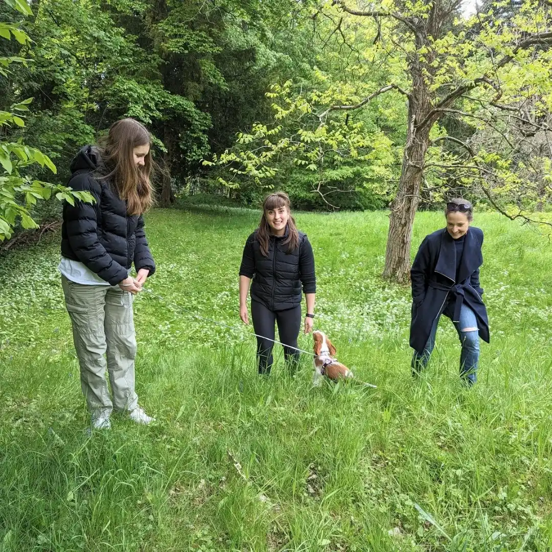 Welpenschule Parndorf – Training in der Kleingruppe