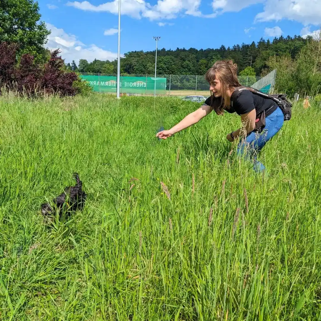 Hundetrainerin mit Welpe in der Welpenschule Wien