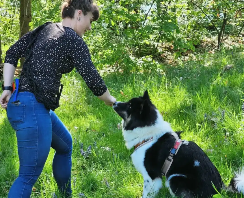 Hundeschule Wien & Bruck. Hundetrainerin