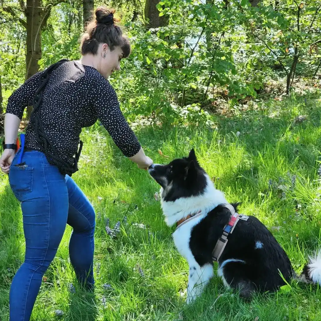 Ing. Jessy Pusch – Hundetrainerin Bruck an der Leitha & Wien