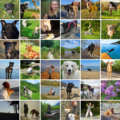 Tiertraining Hundeschule